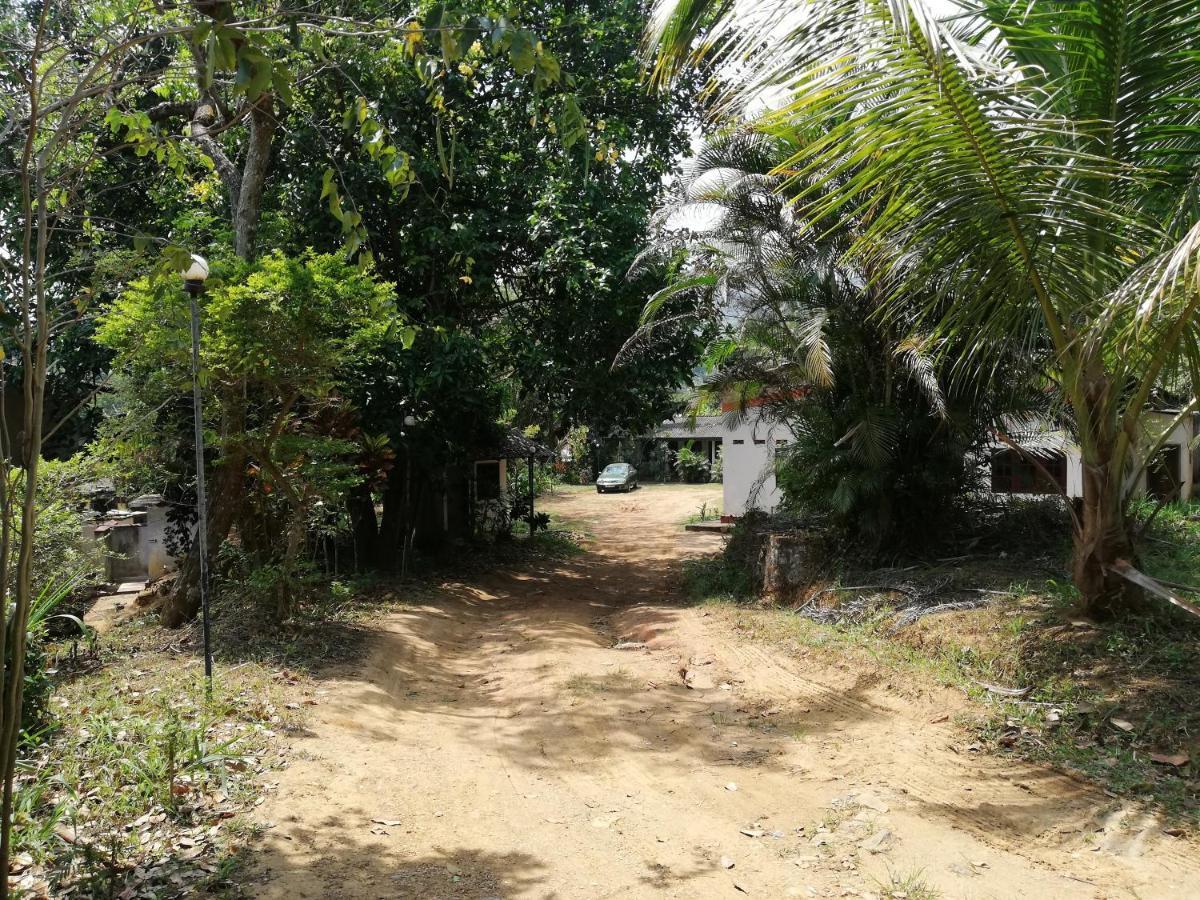 Leaf Guest House Gampola Buitenkant foto