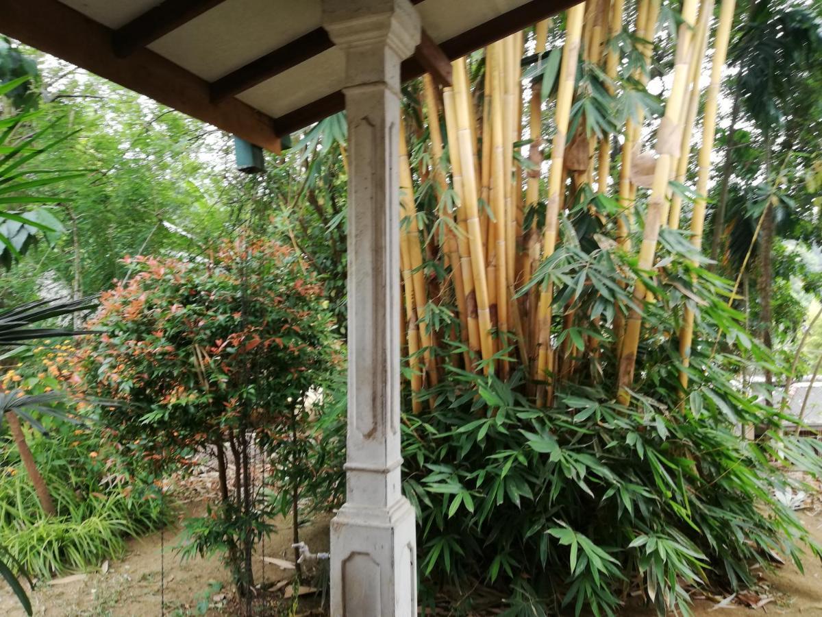 Leaf Guest House Gampola Buitenkant foto