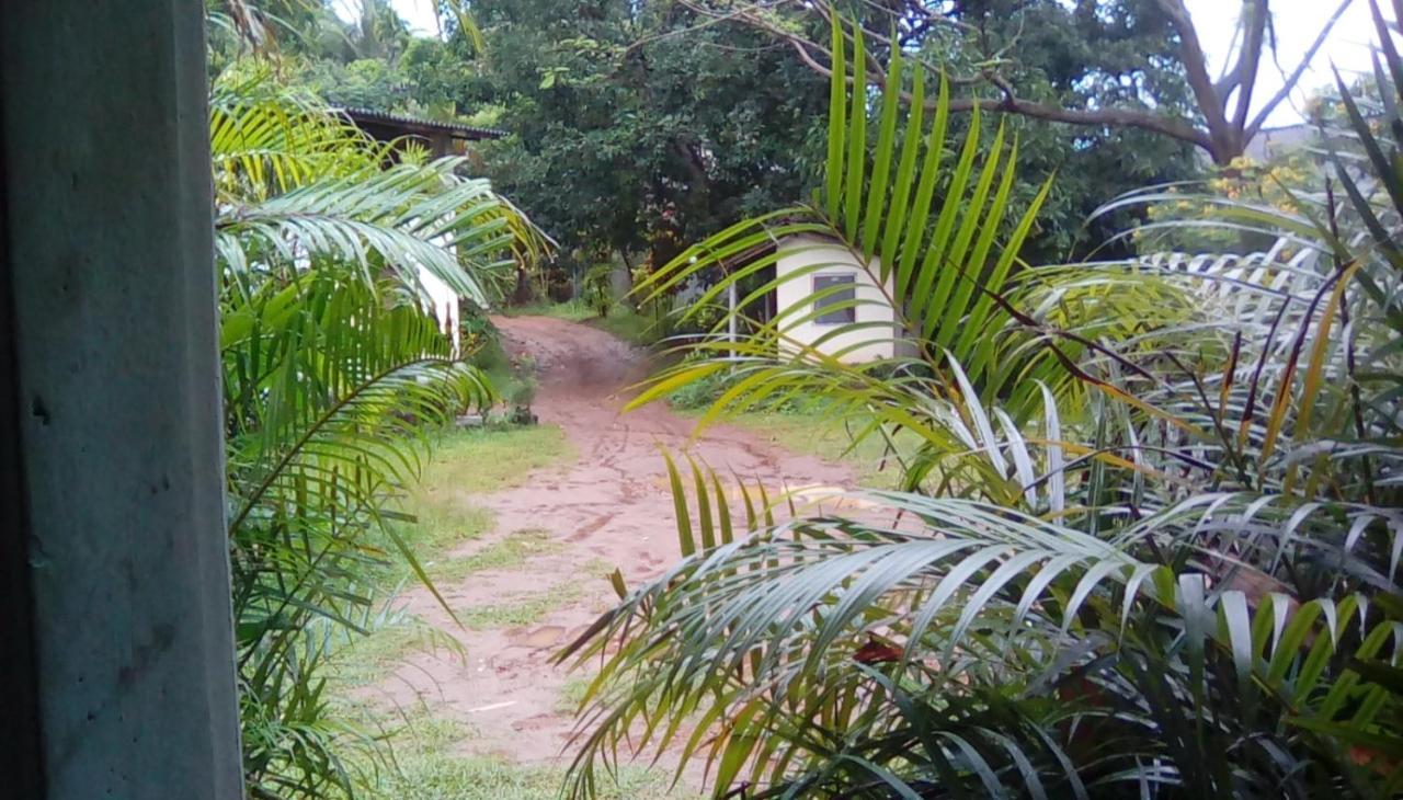 Leaf Guest House Gampola Buitenkant foto