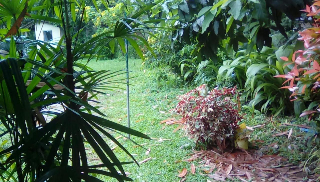 Leaf Guest House Gampola Buitenkant foto